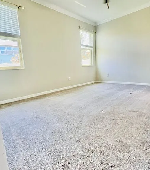 8897 Flourish Dr — Photo 11