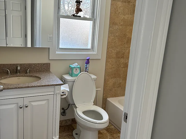 Main floor bathroom