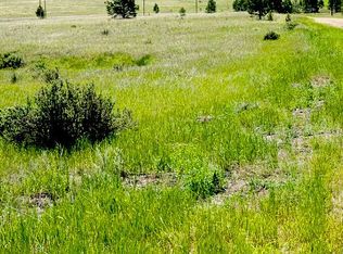 145 Forest Ln, Lake George, CO 80827