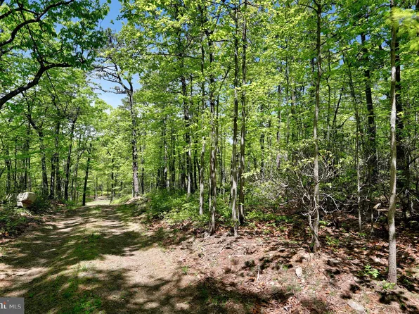 Detour Rd, Great Cacapon, WV 25422