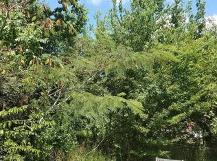 11775 White Cedar St, Willis, TX 77318
