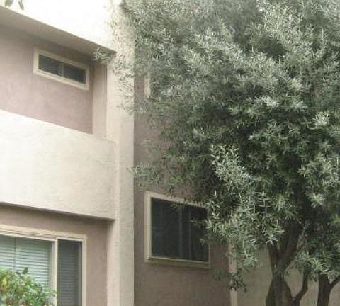 3rd image of 8710 Belford Ave #209