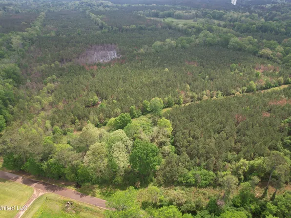 Campbell Creek Rd, Mendenhall, MS 39114