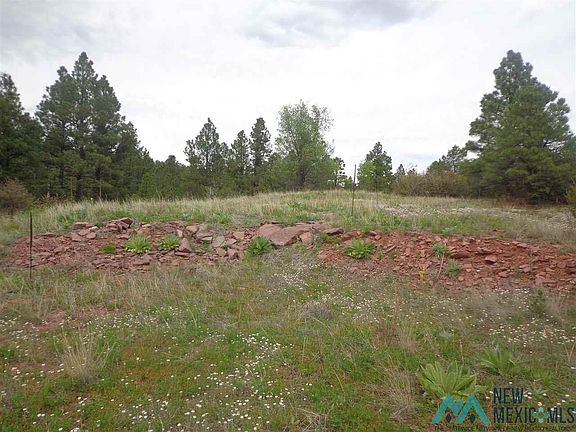 2nd image of 5 Roadrunner Rd