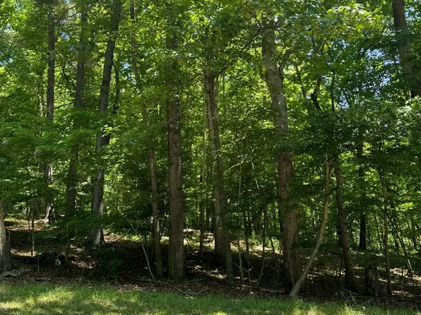 6344 Hazelwood Dr, Dublin, VA 24084