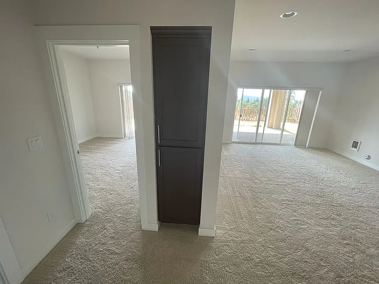 Daylight Basement (Bedroom #4, Full Bath, Storage and Den)