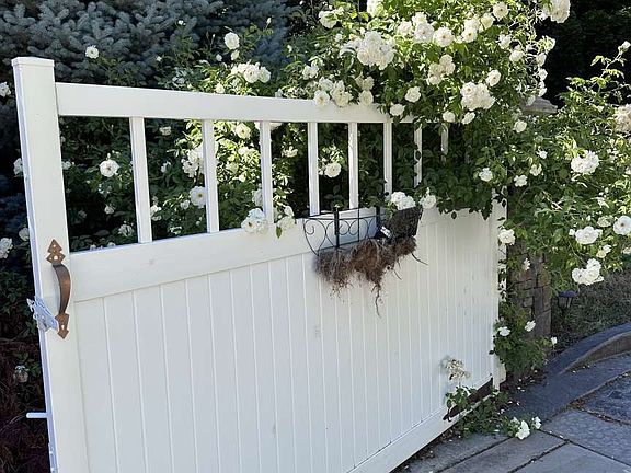 2nd image of 1360 E Shady Lane Way