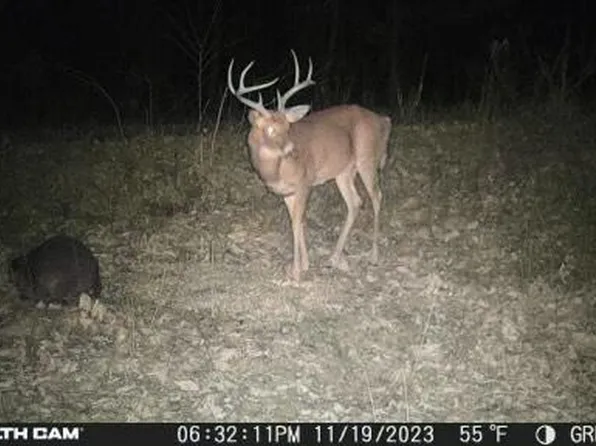 3 Williams Crk, Rush, KY 41168