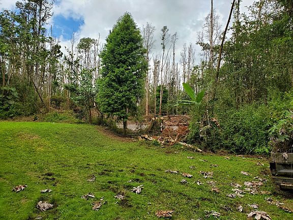 2nd image of Hibiscus Dr Lot 80