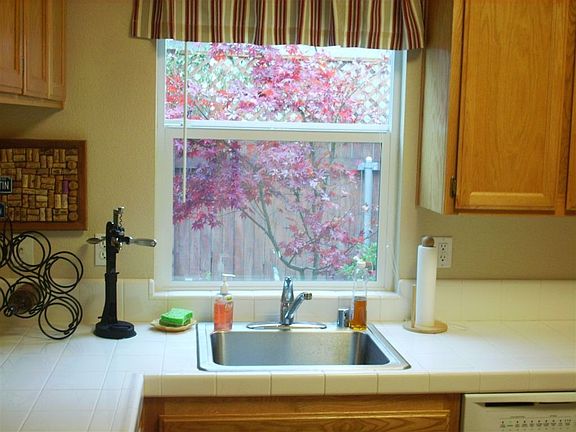 Kitchen view: beautiful Japanese Maple