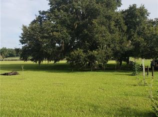 9849 S Quarterhorse Ave, Floral City, FL 34436