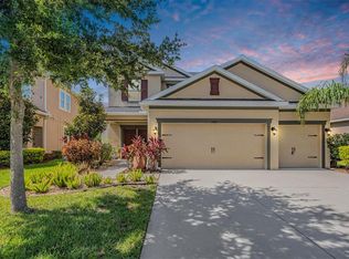 33181 Shadow Branch Ln, Wesley Chapel, FL 33545