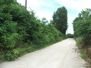 2nd image of Southwest St
