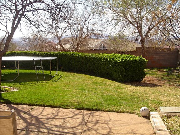 Spacious Backyard