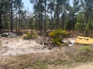 246 CASPIAN TERN AVENUE LOT 4, SEBRING, FL 33870