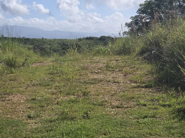 Carr 308 Km 5 8 Int Bo Miradero, Cabo Rojo, PR 00623