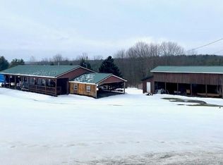 7 Tulls Corners Rd, Candor, NY 13743