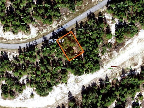 4th image of 1334 Homosassa Dr