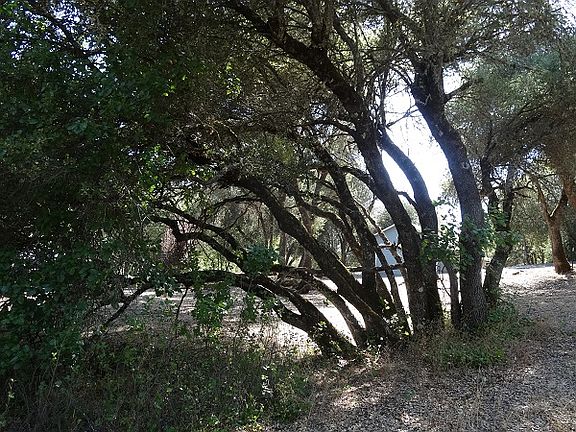 2nd image of 6681 Mary Ann Ln