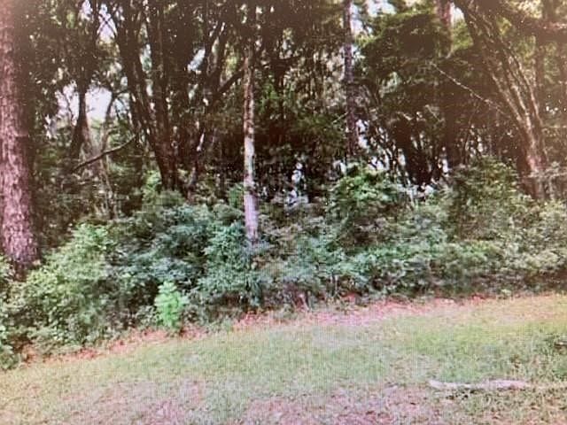 2nd image of 12590A Lloyd Rd