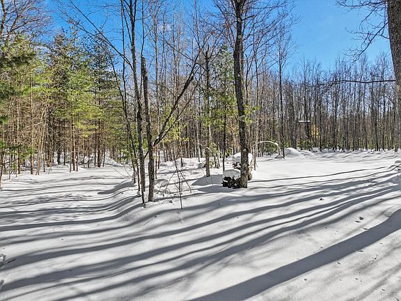 5th image of 6369 Porcupine Ridge Ln