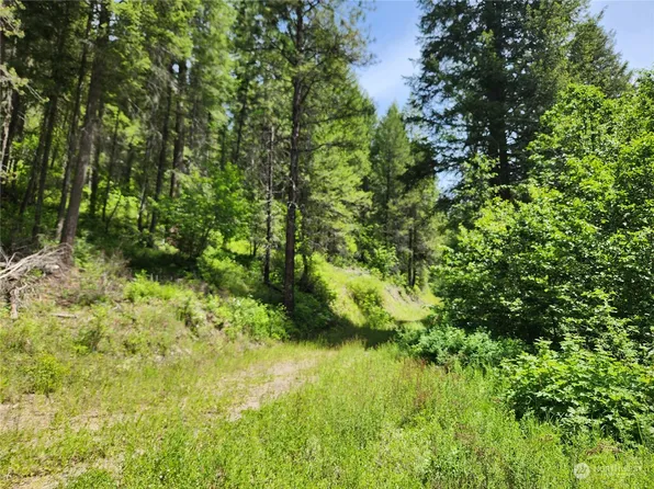 0 TBD Well Creek Road, Keller, WA 99140