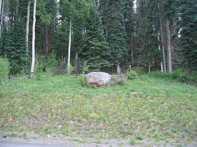 1st image of 104 Double Eagle Way