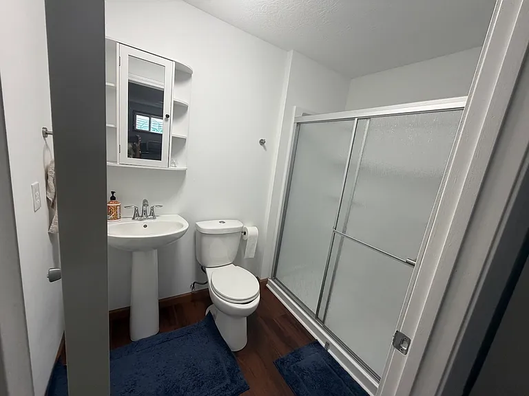 Basement Bathroom