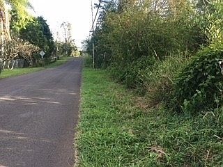 5th image of 19th Ave Lot 198