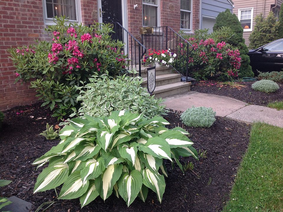2nd image of 88 Hall St