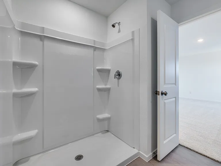 3145 Burmese St — Photo 3