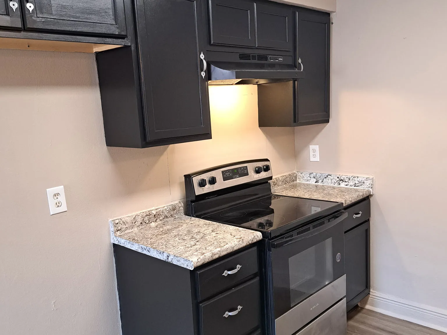 3 bed, 1200 sqft, $1,450 — Photo 4