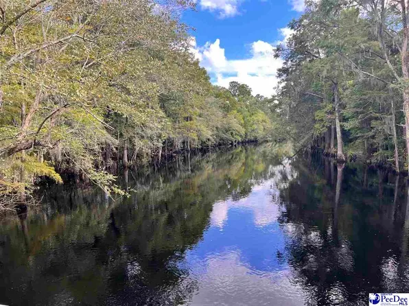 Buck Swamp Rd, Fork, SC 29543