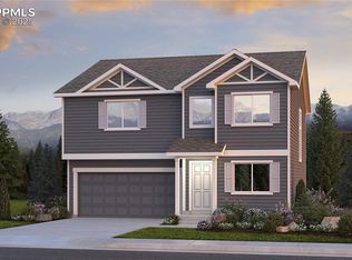 8216 Isabel Pl, Falcon, CO 80831