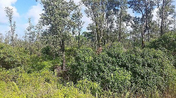 1st image of 15-1841 28th Ave Lot 690