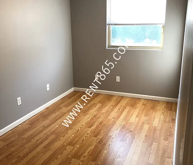 1501 Clinch Ave #4 — Photo 6