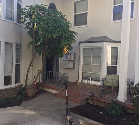 4th image of 617 Kelton Ave #621-3/4