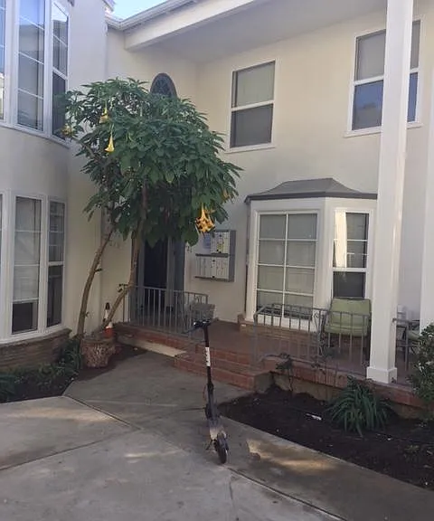 617 Kelton Ave #621-3/4 — Photo 4
