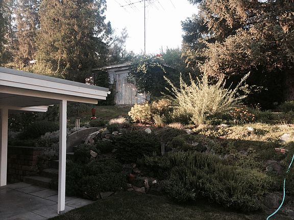 Back yard and woodshop.