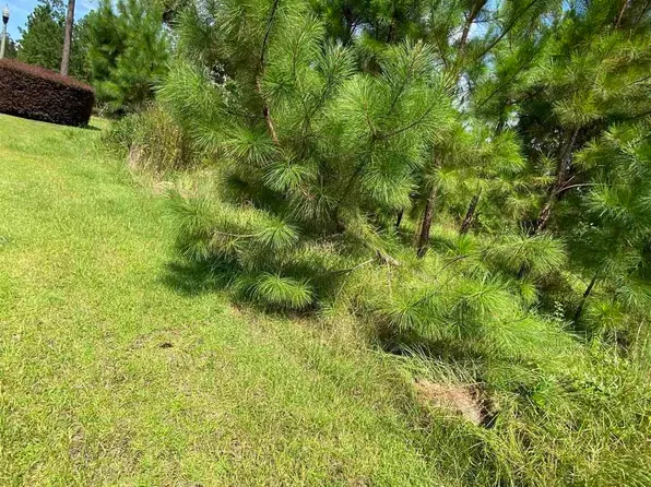 0 Juniper Creek Dr Lot 47 & 48, Brewton, AL 36426