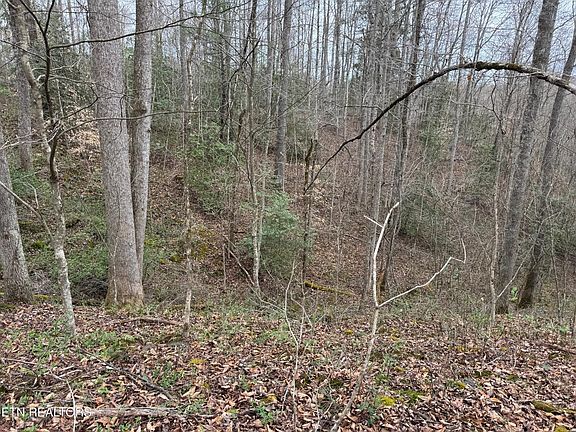 4th image of Honey Creek Loop Rd