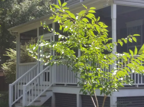 170 Sherrells Frd, Senoia, GA 30276