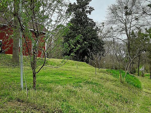 3rd image of 155 County Road 1309