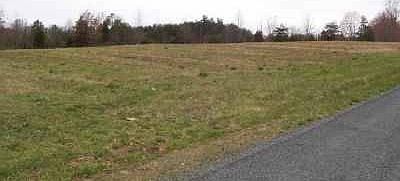 2nd image of Chestnut Road