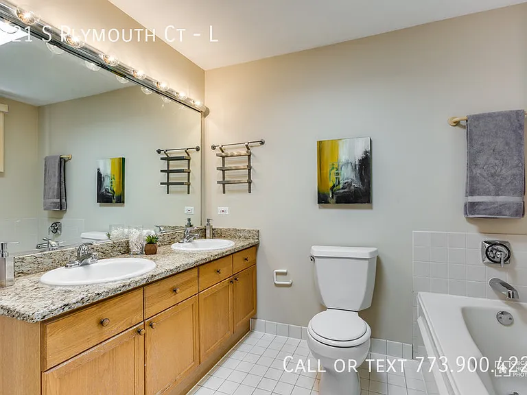 1321 S Plymouth Ct #L — Photo 14