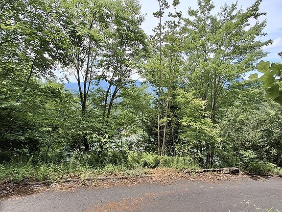 5th image of 77 Kako Ridge Rd