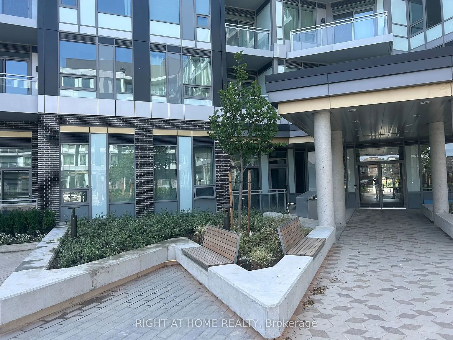 The Saw Whet — Photo 4