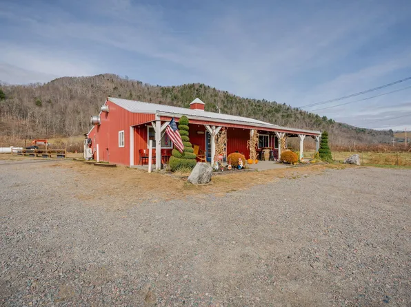 4020 Roan Creek Rd #1, Mountain City, TN 37683