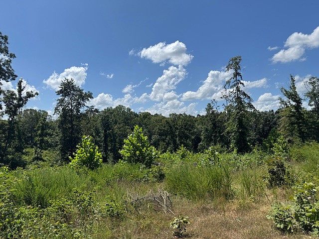 2nd image of Songbird Rd