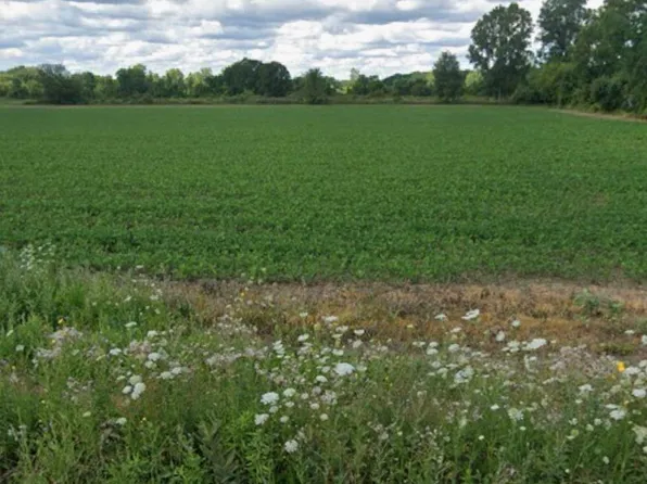 Vacant Land Coon Creek Rd, Armada, MI 48005
